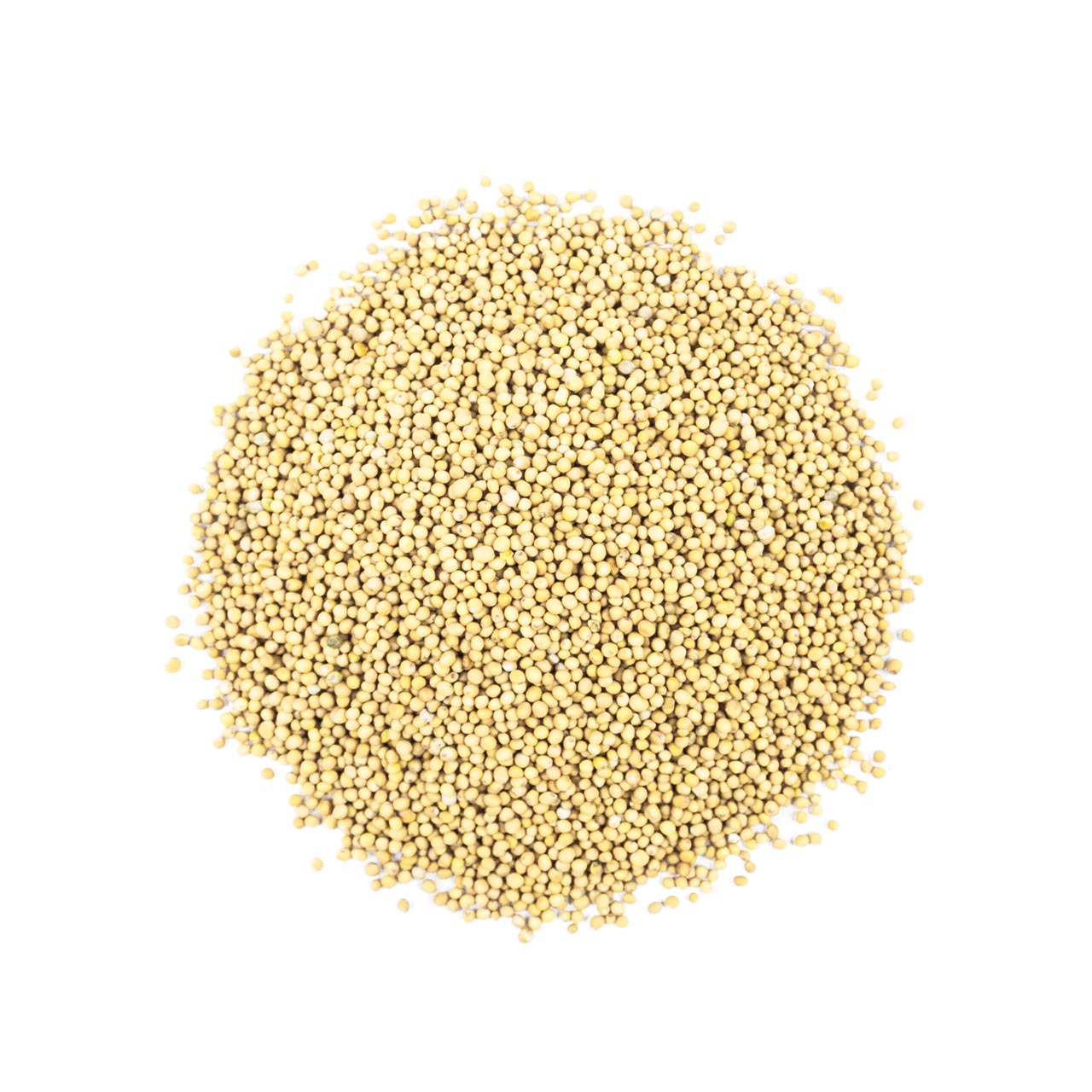 Gorczyca biała ziarno. 500g