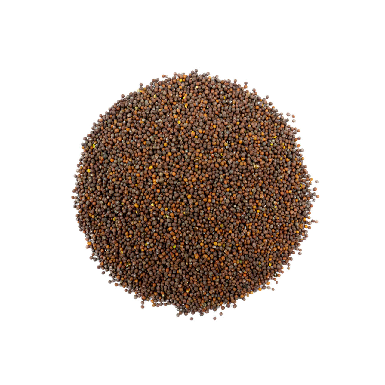 Gorczyca czarna ziarno. 100g